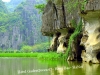 A DAY HOA LU – TAM COC - anh 7